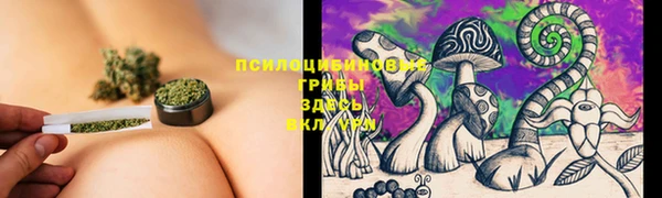 индика Армянск