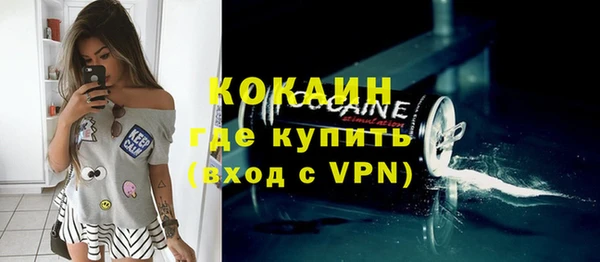 индика Армянск