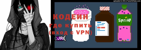 индика Армянск